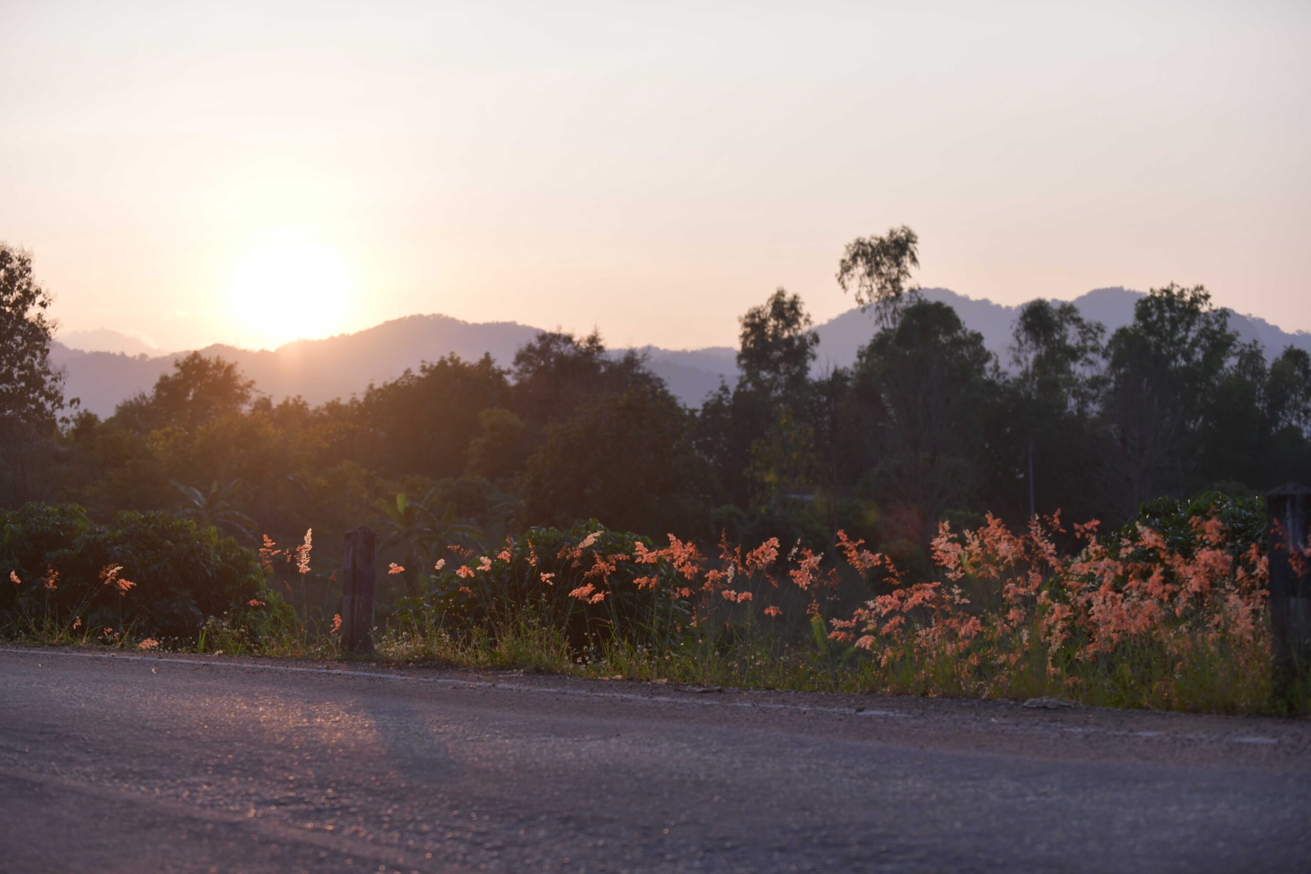 วิว ถ้ำลำปาง (1)