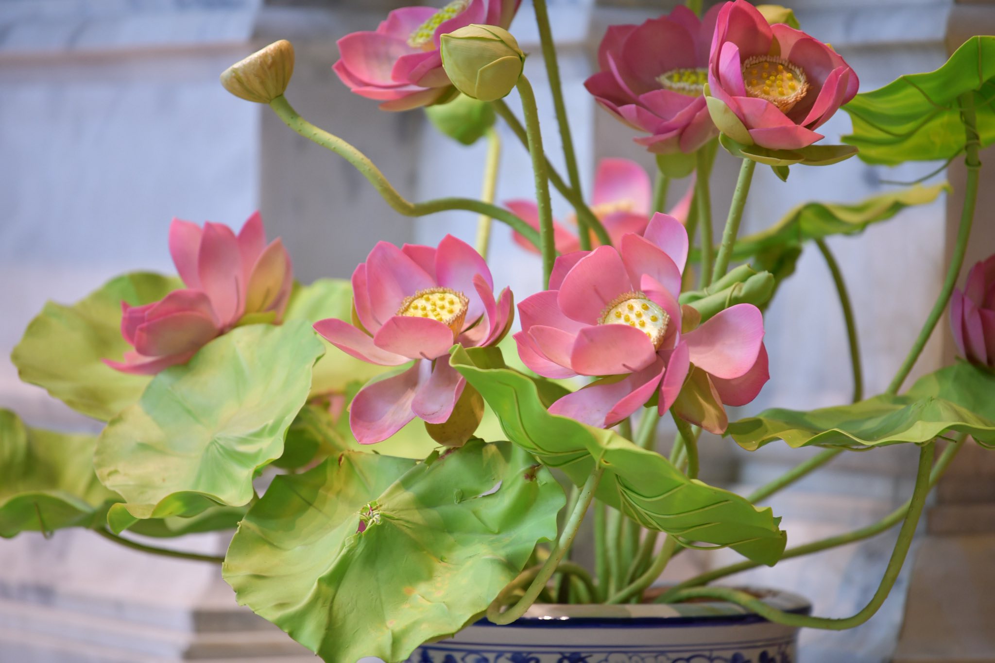 ม.เกษตร – นั่งภาวนา (14)